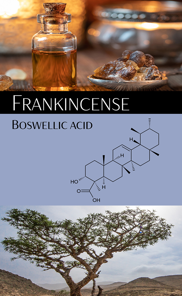 Frankincense Potential Anti-Cancer, Anti-Inflammatory, Anti-Pain Supplement