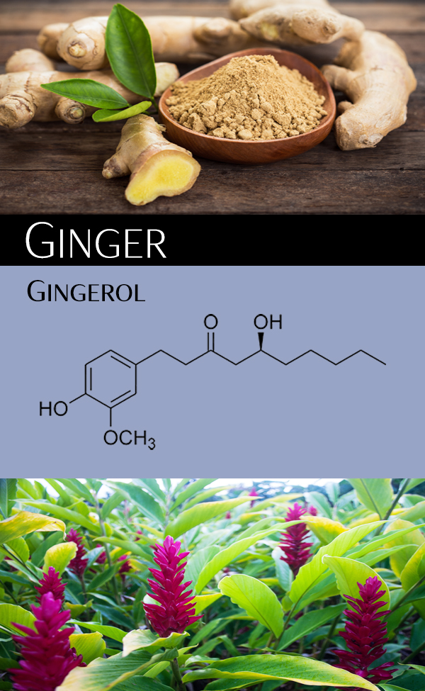 Ginger Digestive Aid