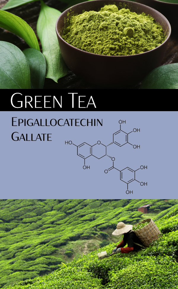 Green Tea Antioxidant Anti Cancer Supplement