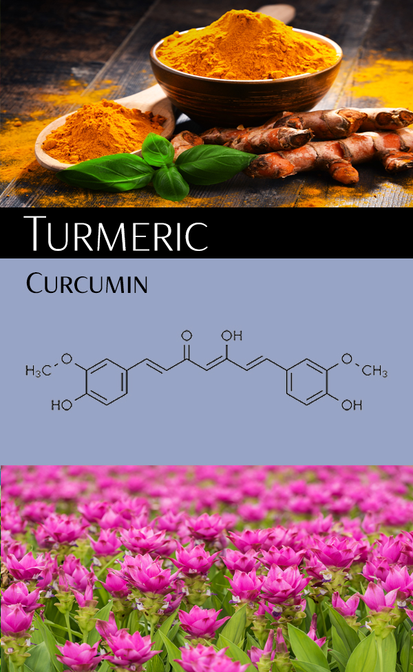 Turmeric Anti Inflammatory, Anti Cancer Supplement